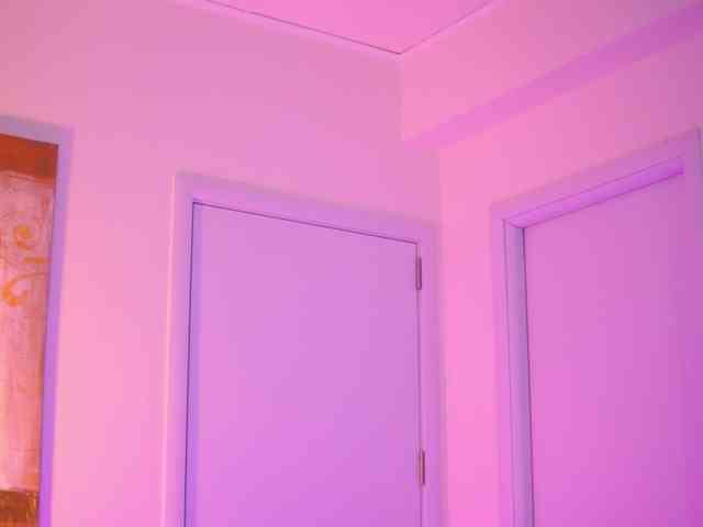 BlackCloverX webcam