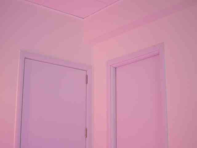 BlackCloverX webcam