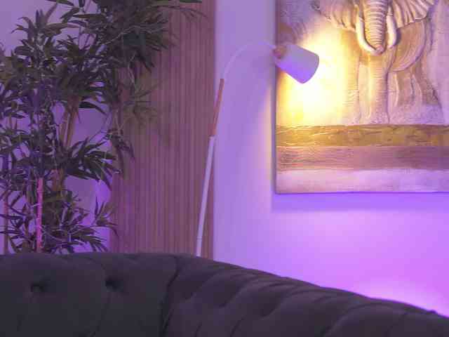 BlackCloverX webcam