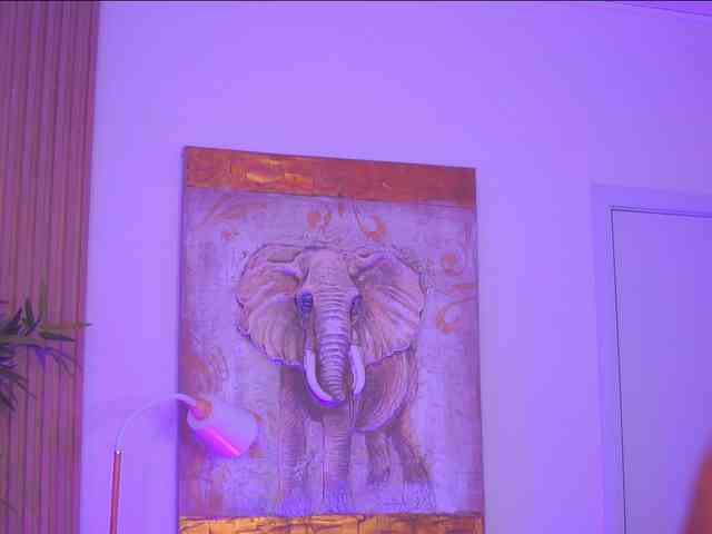 BlackCloverX webcam