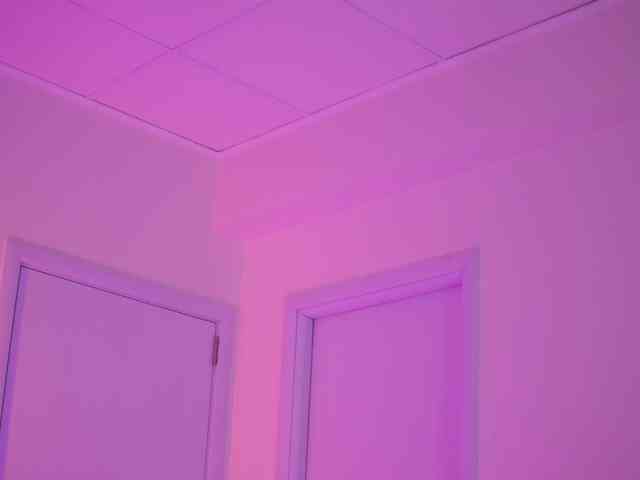 BlackCloverX webcam