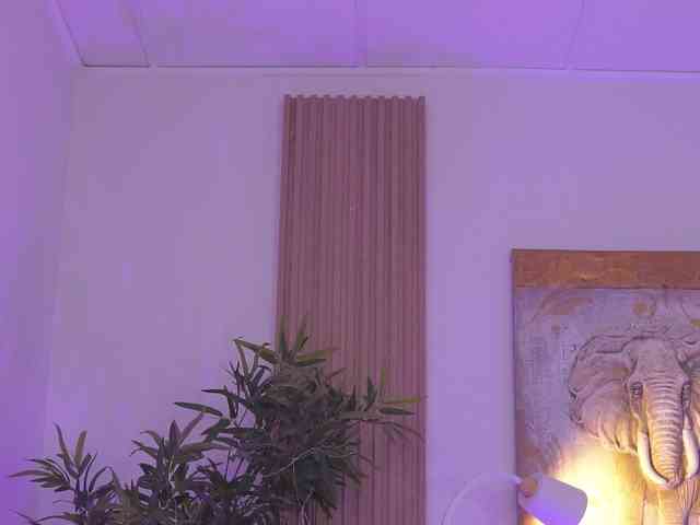 BlackCloverX webcam