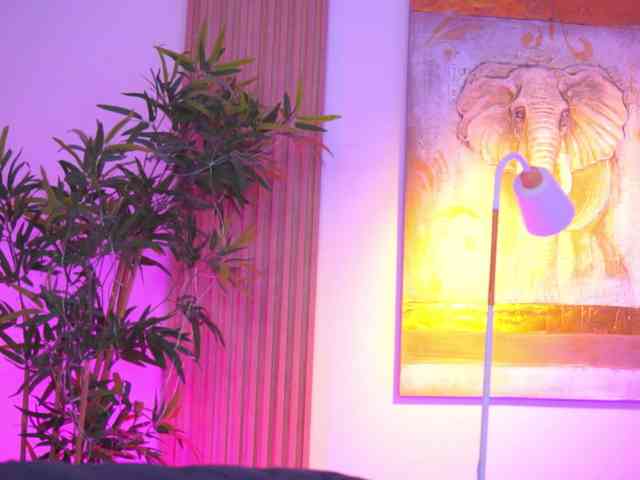 BlackCloverX webcam