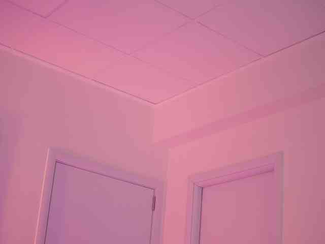 BlackCloverX webcam