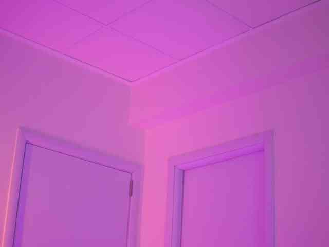 BlackCloverX webcam