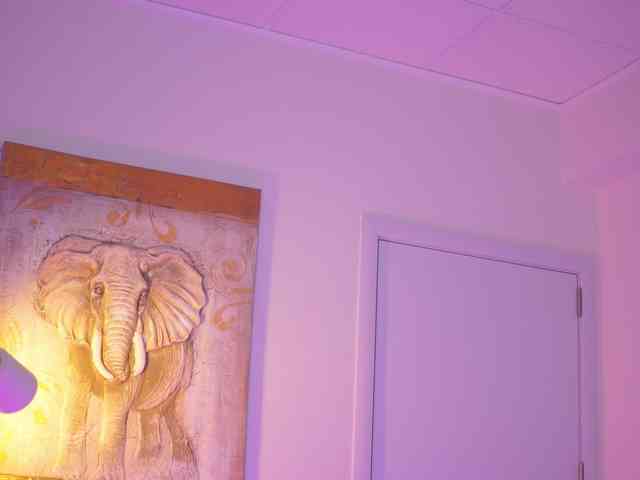 BlackCloverX webcam