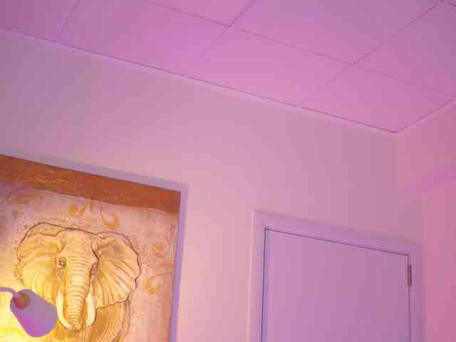 BlackCloverX webcam