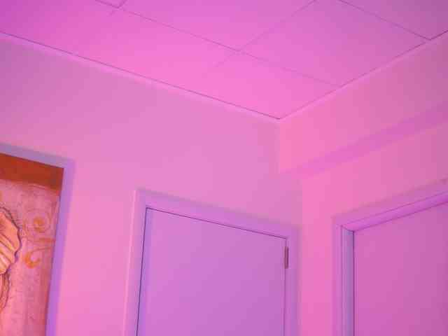 BlackCloverX webcam