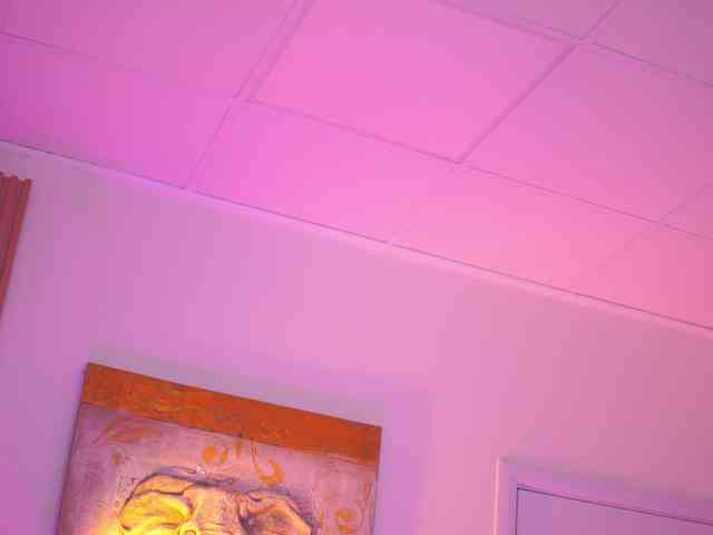 BlackCloverX webcam