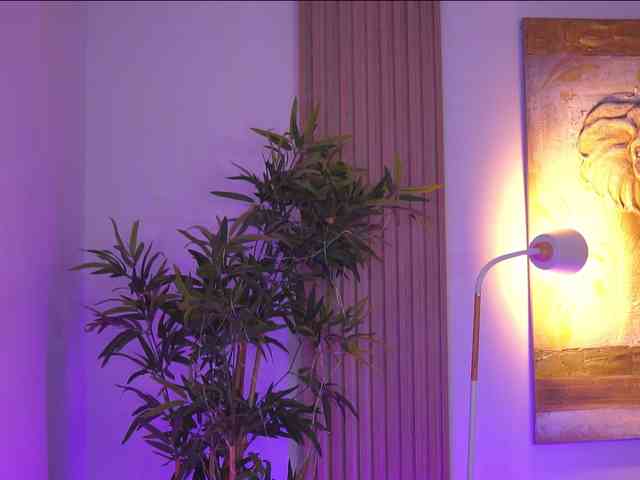 BlackCloverX webcam
