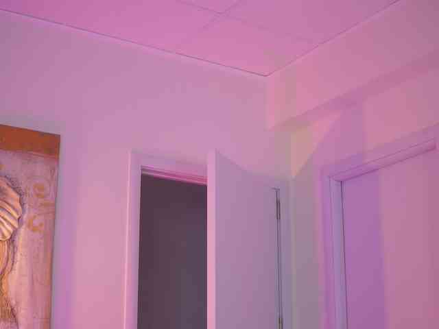 BlackCloverX webcam