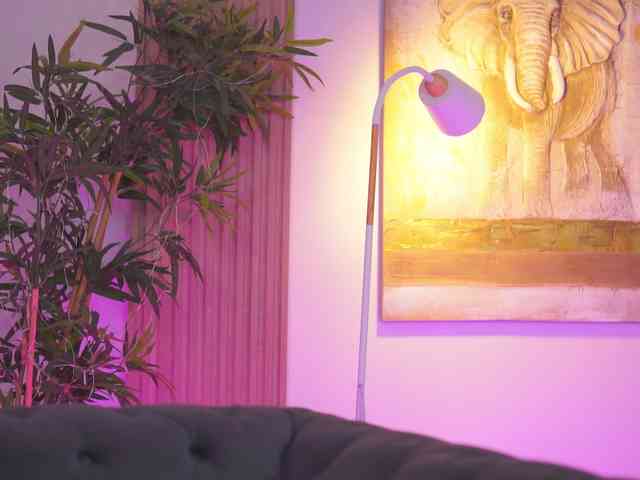 BlackCloverX webcam