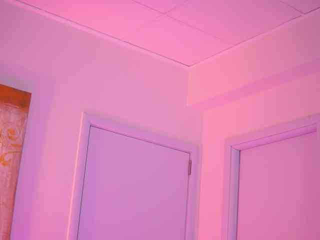 BlackCloverX webcam