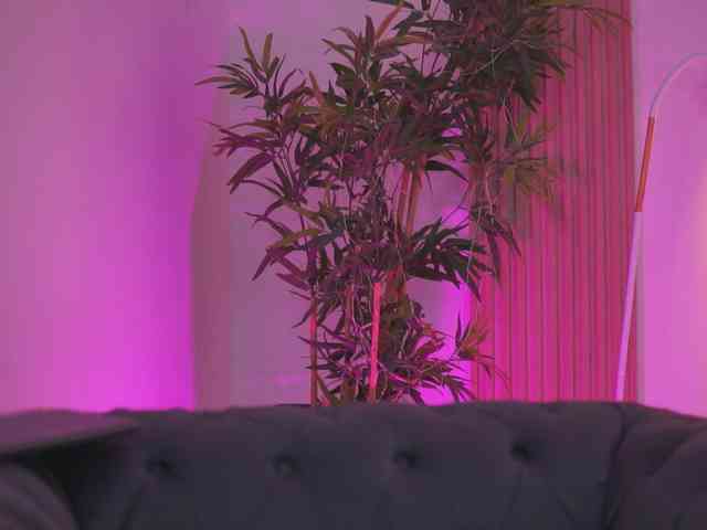 BlackCloverX webcam
