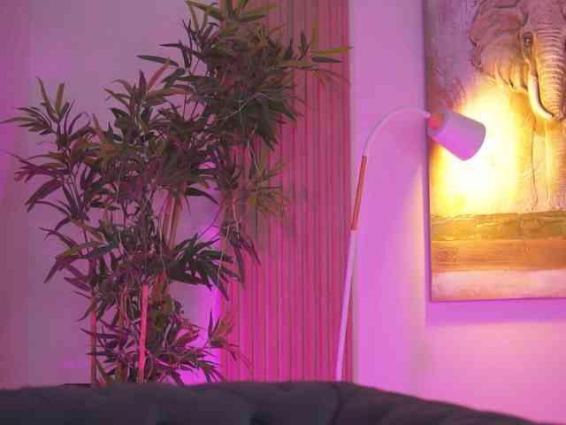 BlackCloverX webcam