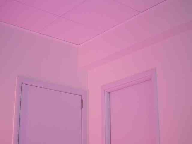 BlackCloverX webcam