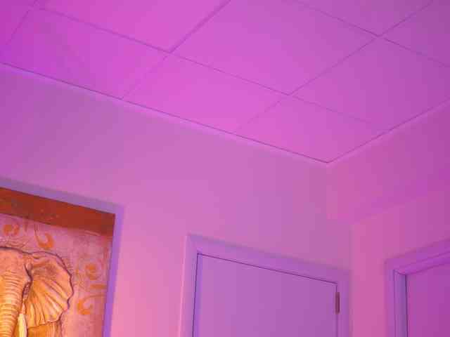 BlackCloverX webcam