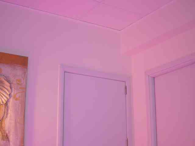 BlackCloverX webcam