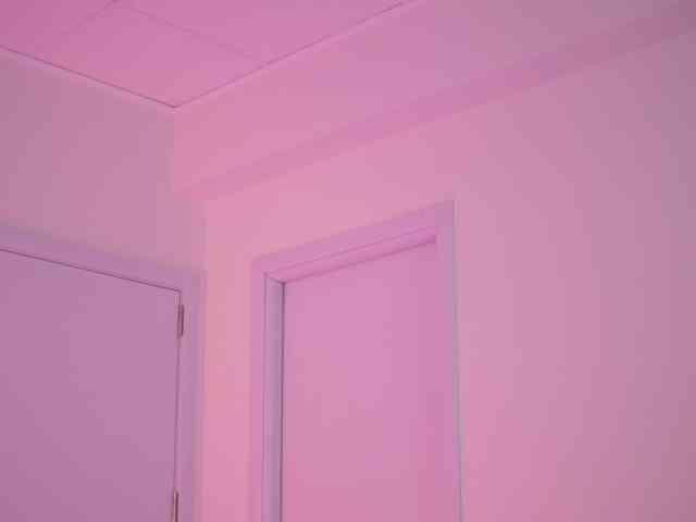 BlackCloverX webcam