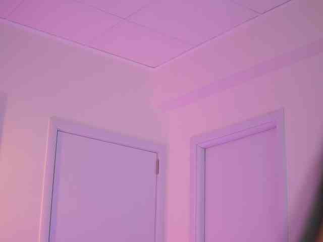 BlackCloverX webcam