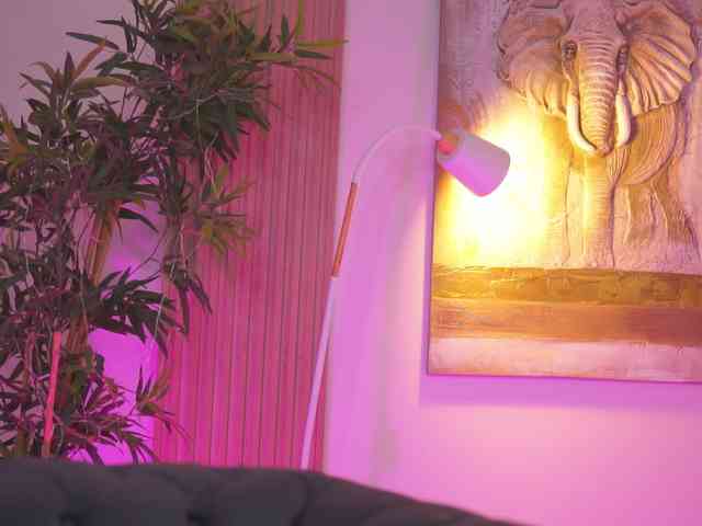 BlackCloverX webcam