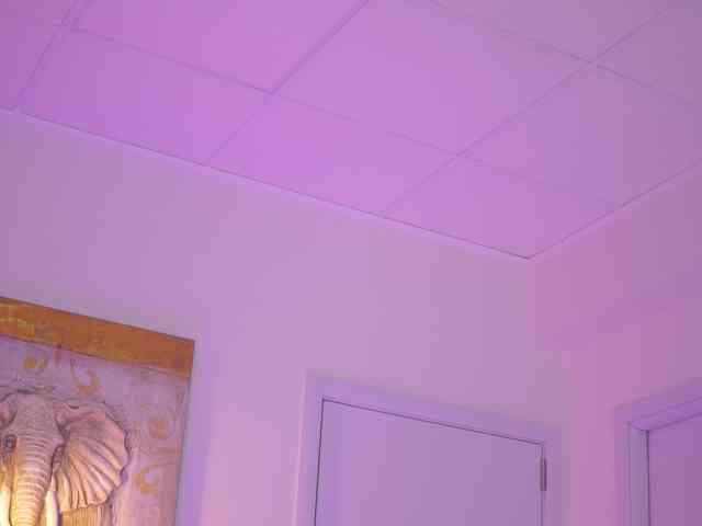 BlackCloverX webcam