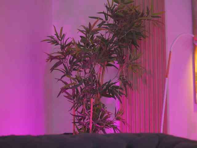 BlackCloverX webcam