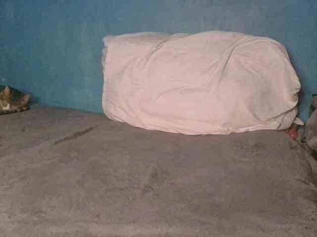 Melaninfetish02 webcam