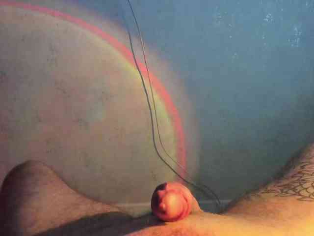 Pinkbodnar webcam