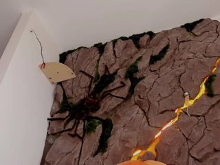 bansheescreams Porn Show