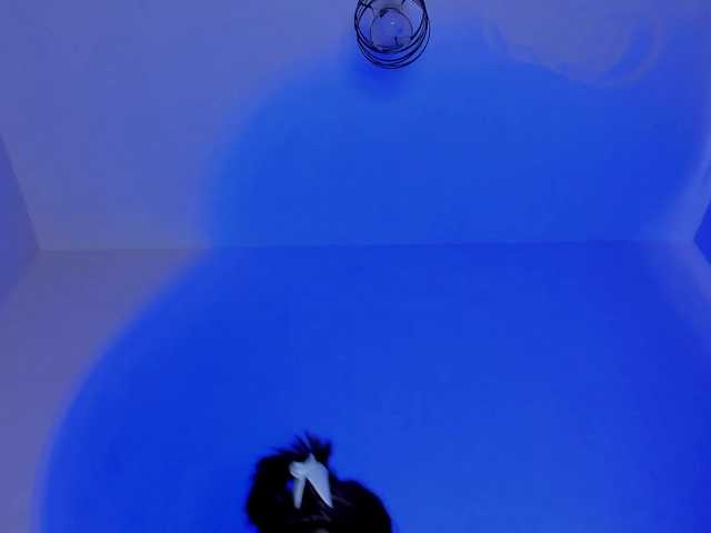 Chat with bansheescreams live cam
