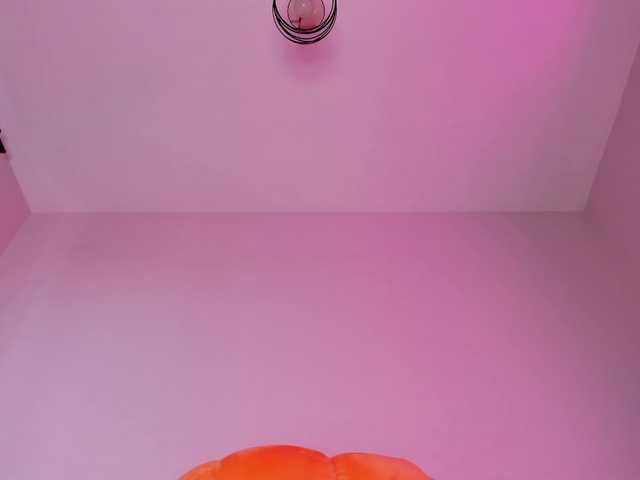bansheescreams