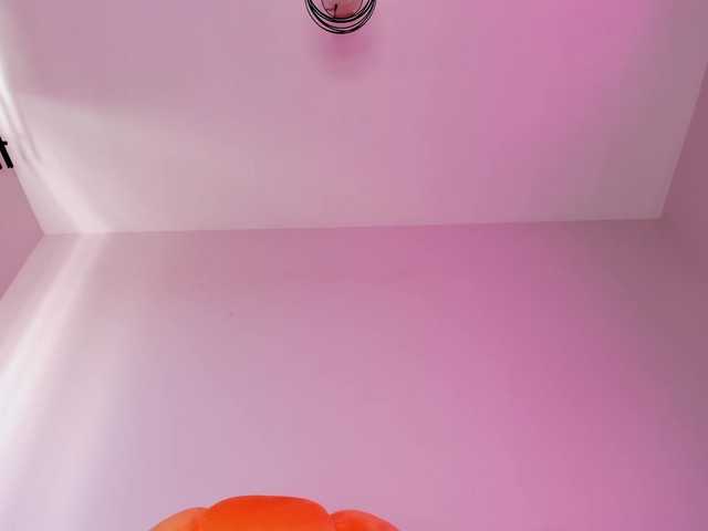 bansheescreams