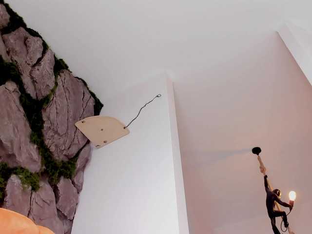 bansheescreams