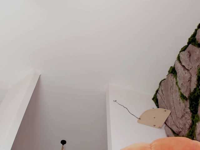 bansheescreams live cam on BongaCams