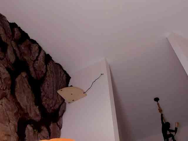 bansheescreams webcam