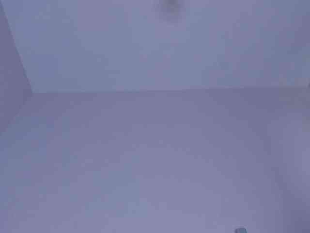 bansheescreams webcam