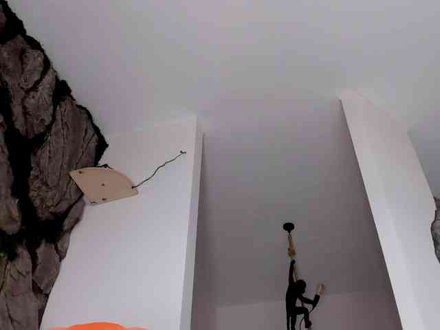 bansheescreams webcam