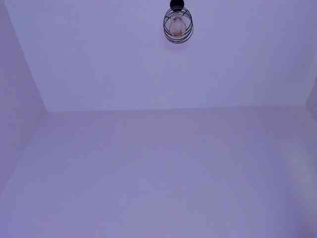 bansheescreams webcam