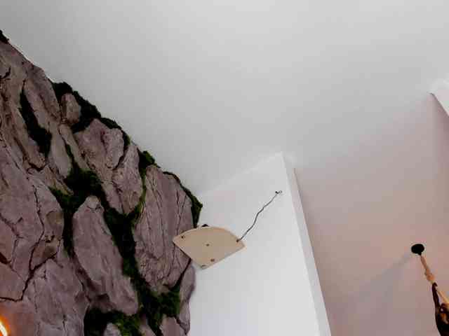 bansheescreams webcam