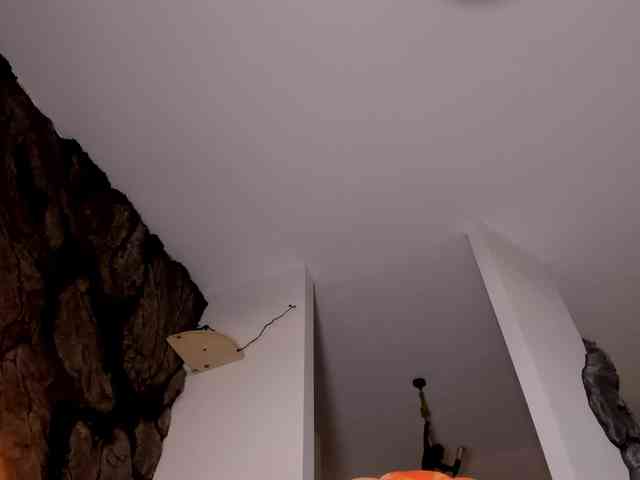 bansheescreams webcam