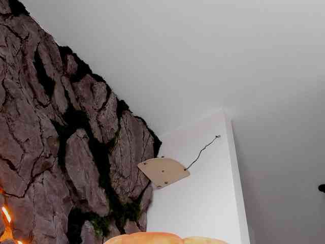 bansheescreams webcam