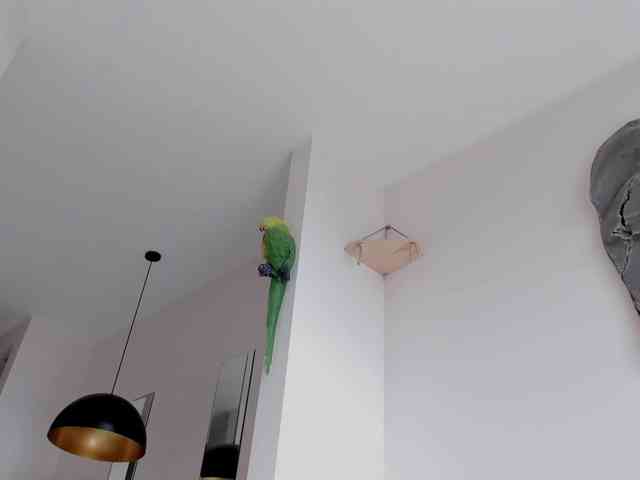 bansheescreams webcam