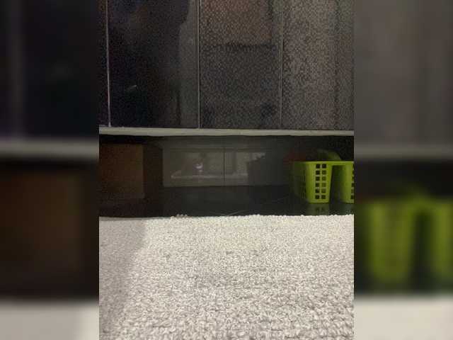 Mokraia-pisia333's BongaCams show and profile