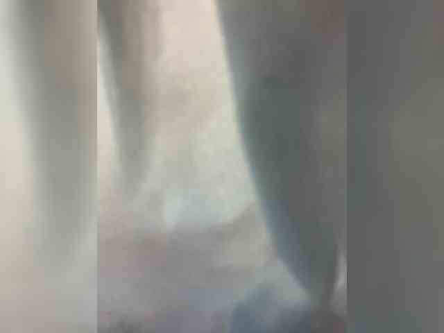 Mokraia-pisia333 webcam
