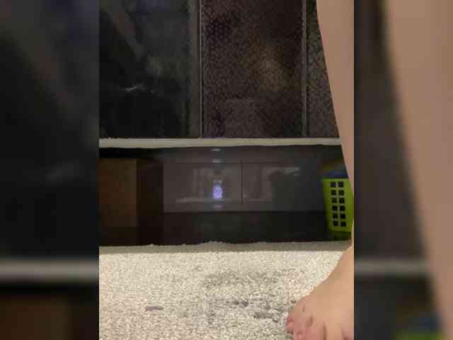 Mokraia-pisia333 webcam