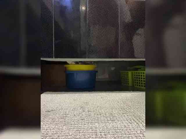 Mokraia-pisia333 webcam