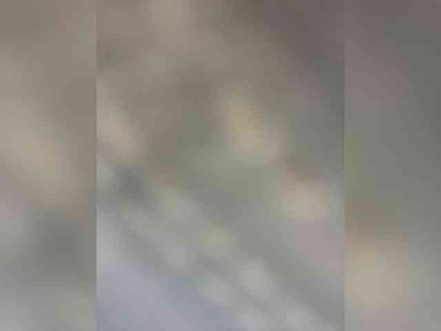 Mokraia-pisia333 webcam