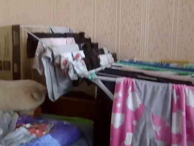 Deni-Pavla webcam