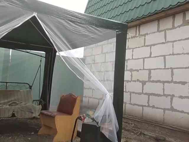 Deni-Pavla webcam